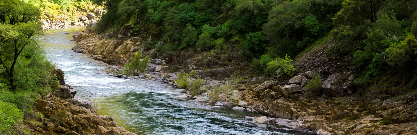 winding river through wooded area