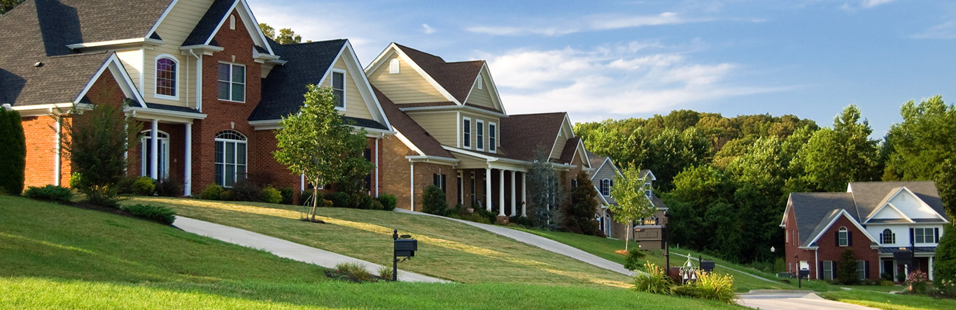 row of suburban homes